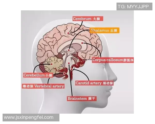 科学排球中的意识训练方法探究与实践技巧分享